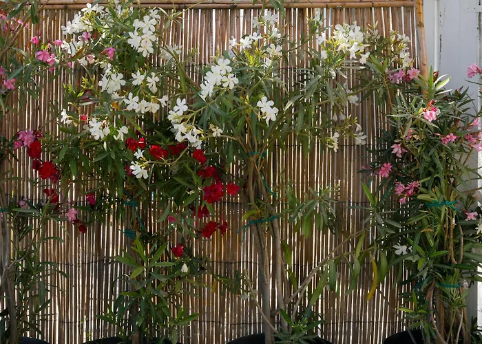 Scala アパートホテル 4*